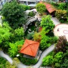 深圳園林綠化養(yǎng)護(hù)服務(wù)-哪兒有可靠的園林綠化養(yǎng)護(hù)